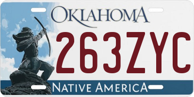 OK license plate 263ZYC