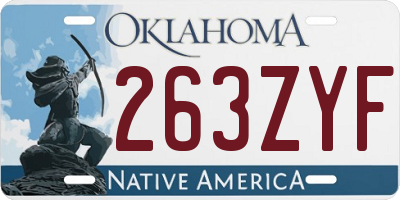 OK license plate 263ZYF