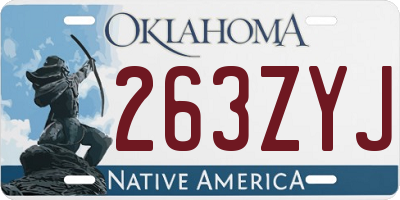 OK license plate 263ZYJ