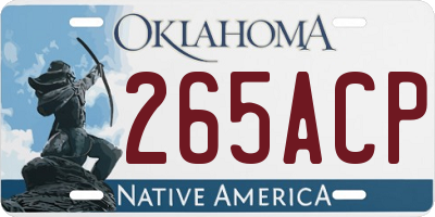 OK license plate 265ACP