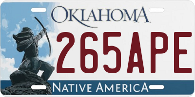 OK license plate 265APE