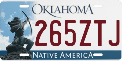 OK license plate 265ZTJ