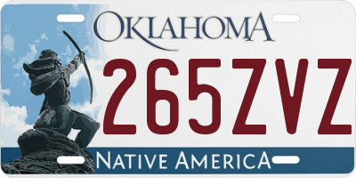 OK license plate 265ZVZ