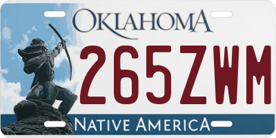 OK license plate 265ZWM
