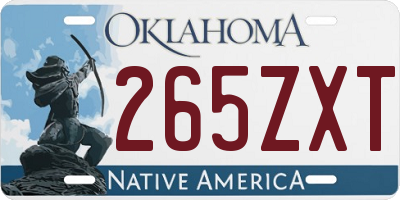 OK license plate 265ZXT