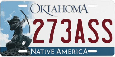 OK license plate 273ASS