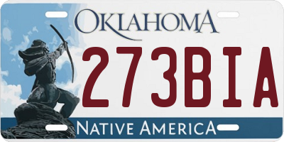OK license plate 273BIA