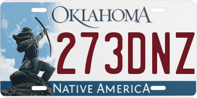 OK license plate 273DNZ