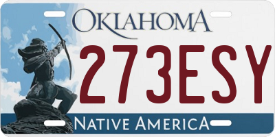 OK license plate 273ESY