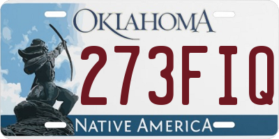 OK license plate 273FIQ