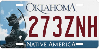 OK license plate 273ZNH
