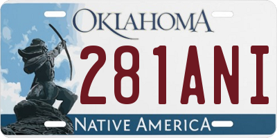 OK license plate 281ANI