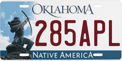 OK license plate 285APL