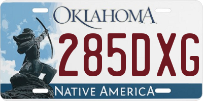 OK license plate 285DXG