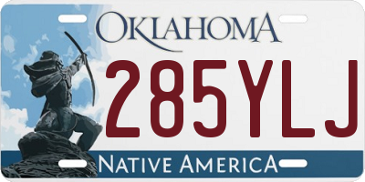 OK license plate 285YLJ