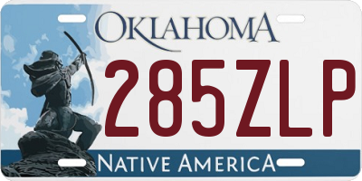 OK license plate 285ZLP