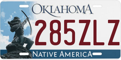 OK license plate 285ZLZ