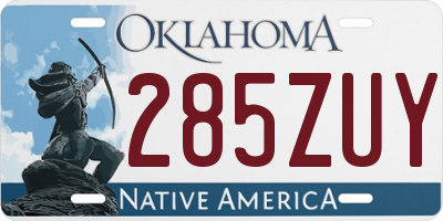 OK license plate 285ZUY