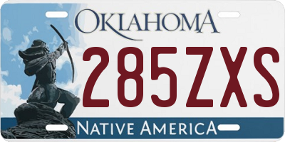 OK license plate 285ZXS