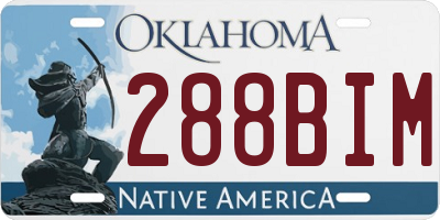 OK license plate 288BIM