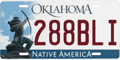 OK license plate 288BLI