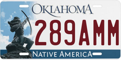 OK license plate 289AMM