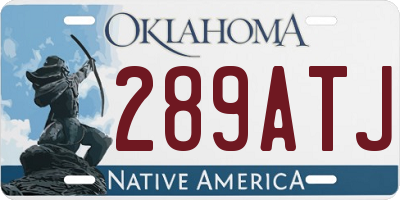 OK license plate 289ATJ