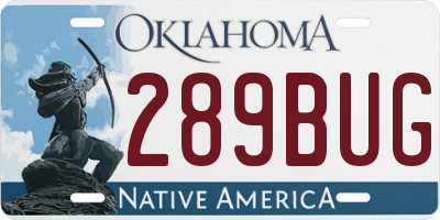 OK license plate 289BUG