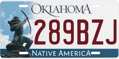 OK license plate 289BZJ