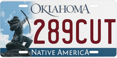 OK license plate 289CUT