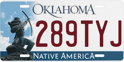OK license plate 289TYJ