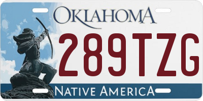 OK license plate 289TZG