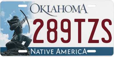 OK license plate 289TZS