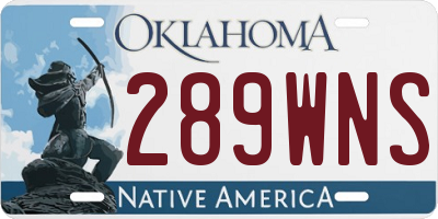 OK license plate 289WNS