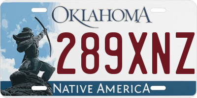 OK license plate 289XNZ