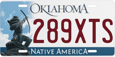 OK license plate 289XTS