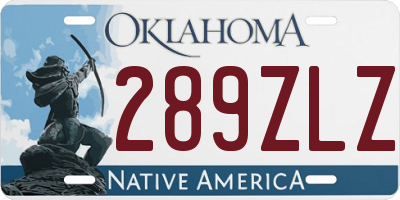 OK license plate 289ZLZ