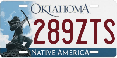 OK license plate 289ZTS