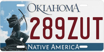 OK license plate 289ZUT