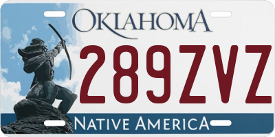 OK license plate 289ZVZ