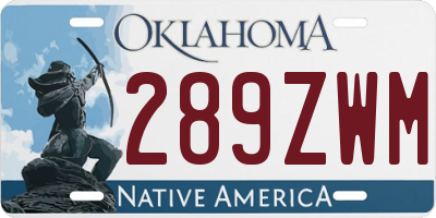 OK license plate 289ZWM