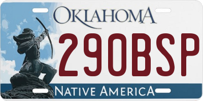 OK license plate 290BSP