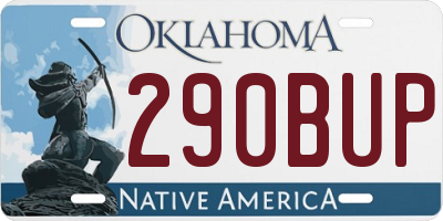 OK license plate 290BUP