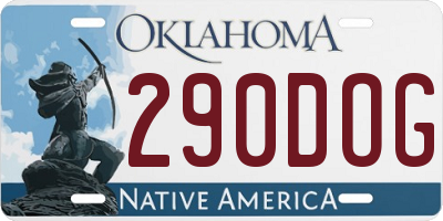 OK license plate 290DOG