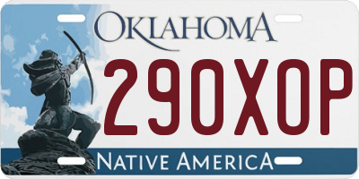 OK license plate 290XOP