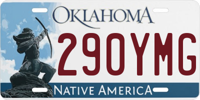 OK license plate 290YMG