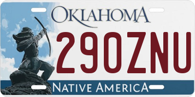 OK license plate 290ZNU