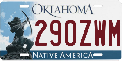 OK license plate 290ZWM