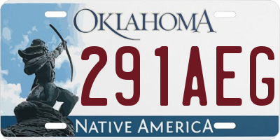 OK license plate 291AEG