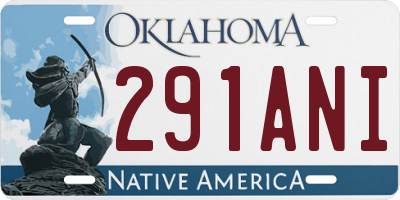 OK license plate 291ANI